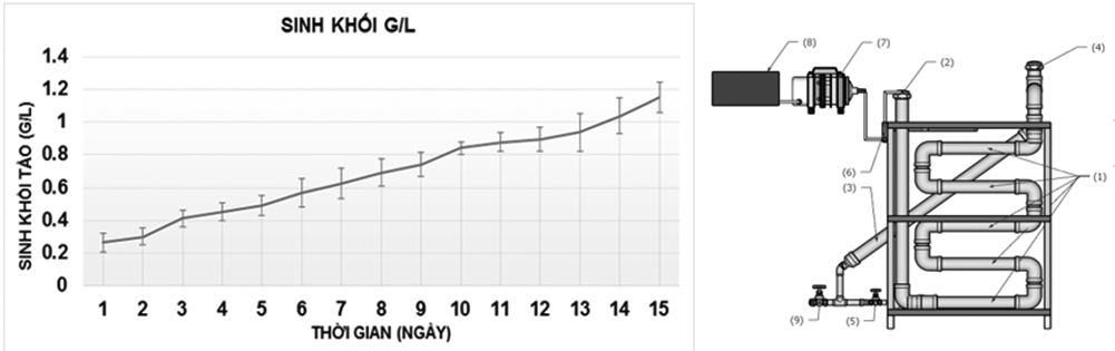 Thiết lập và thử nghiệm hệ thống xử lý khí thải bằng vi tảo theo công nghệ Tubular Photobioreactor