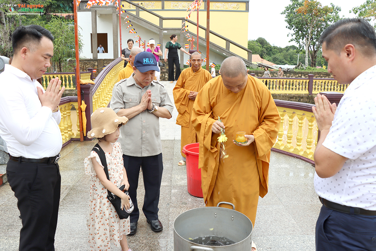 Tạp chí Tài nguyên và Môi trường phát động trồng cây chương trình 