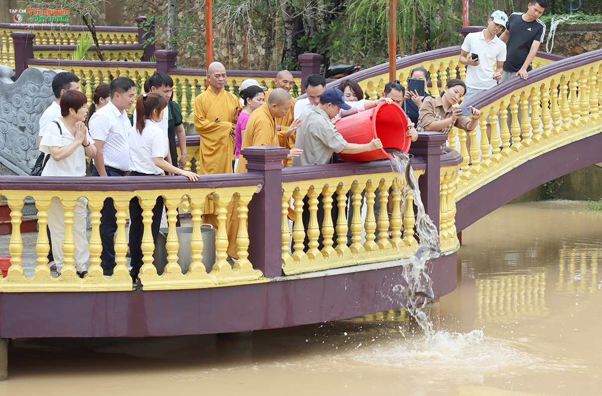 Tạp chí Tài nguyên và Môi trường phát động trồng cây chương trình 