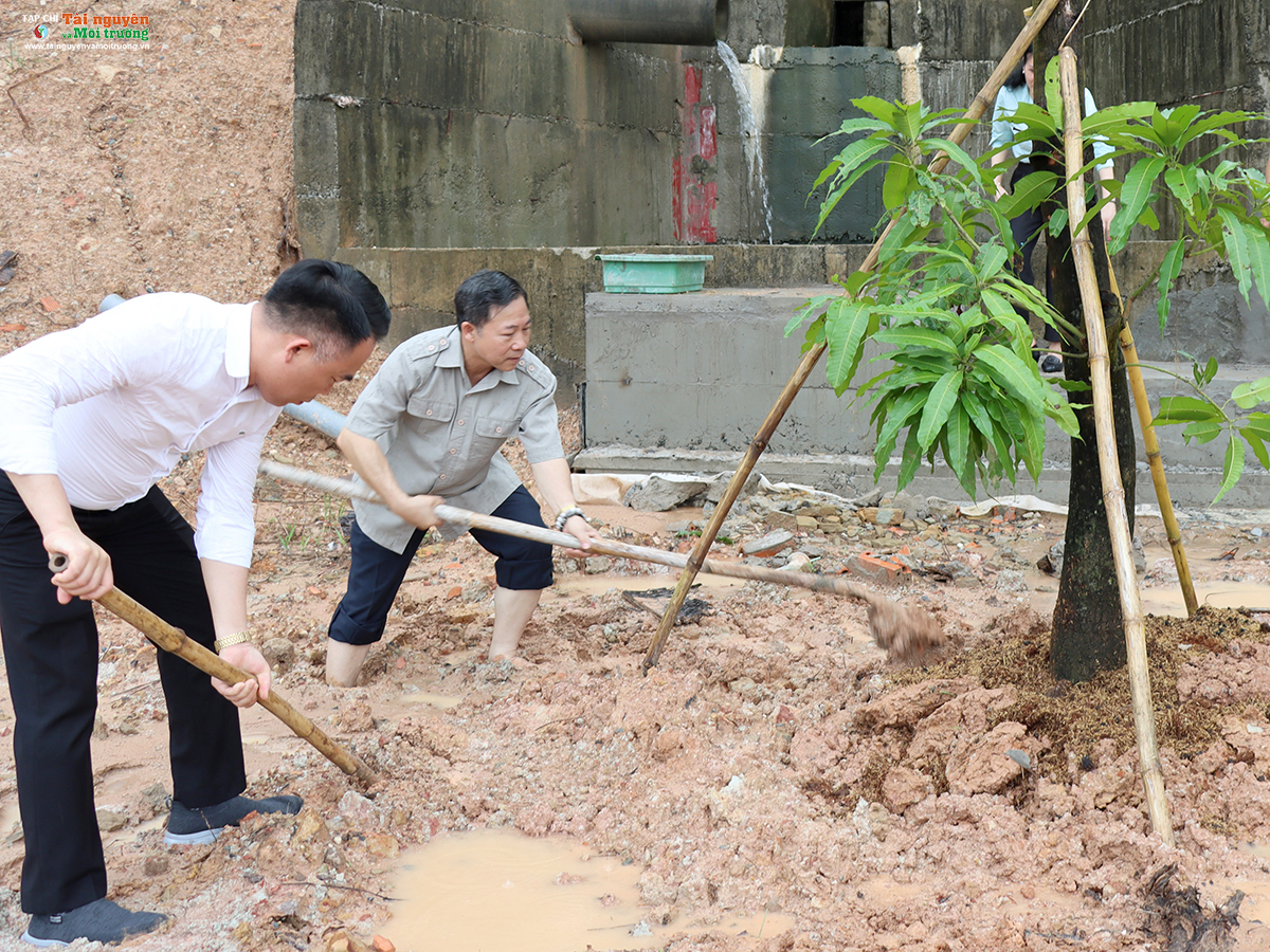 Tạp chí Tài nguyên và Môi trường phát động trồng cây chương trình 