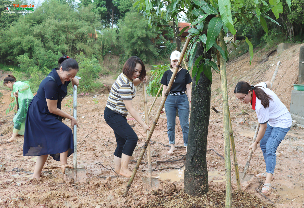 Tạp chí Tài nguyên và Môi trường phát động trồng cây chương trình 