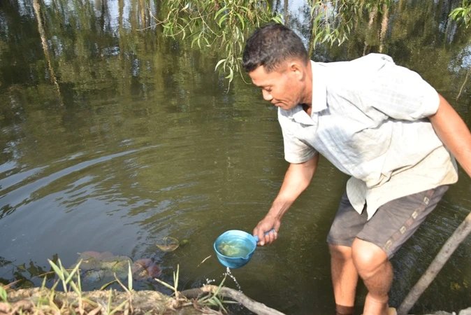 Tiền Giang: Điều tra nguyên nhân gây ô nhiễm nguồn nước