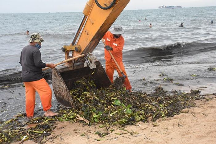 Chung tay bảo vệ môi trường biển