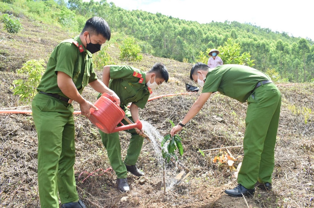 Tin tức