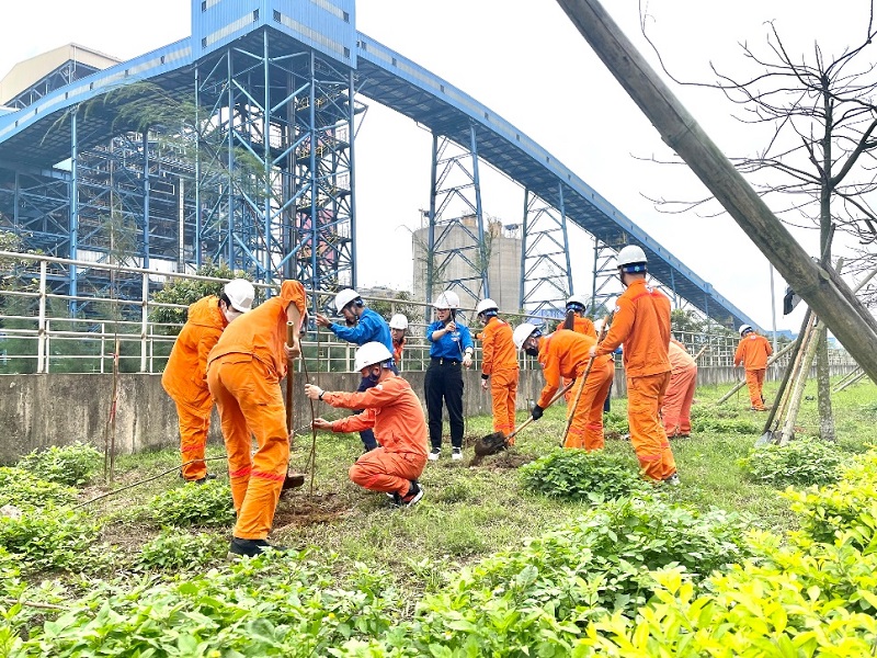 Tuổi trẻ Nhiệt điện Thái Bình phát động Tết trồng cây năm 2024