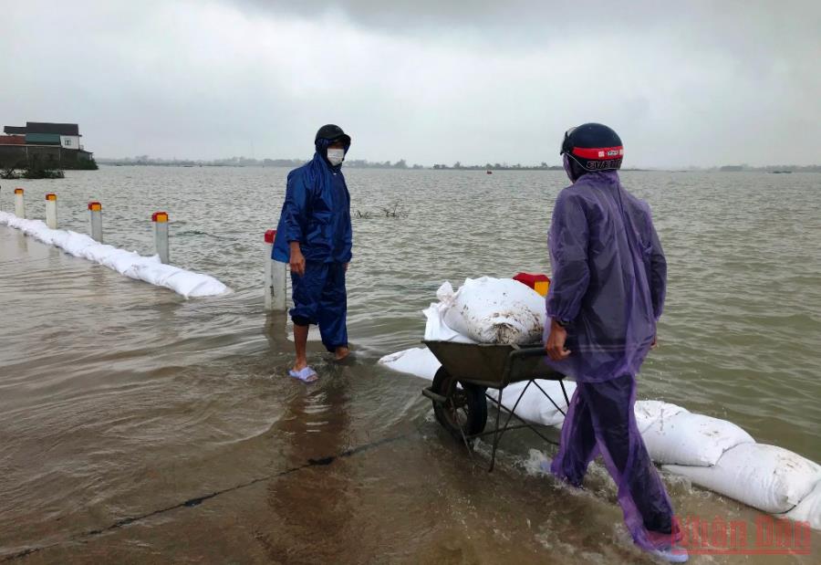 Chủ động ứng phó, có phương án khắc phục trước diễn biến bất thường của thời tiết