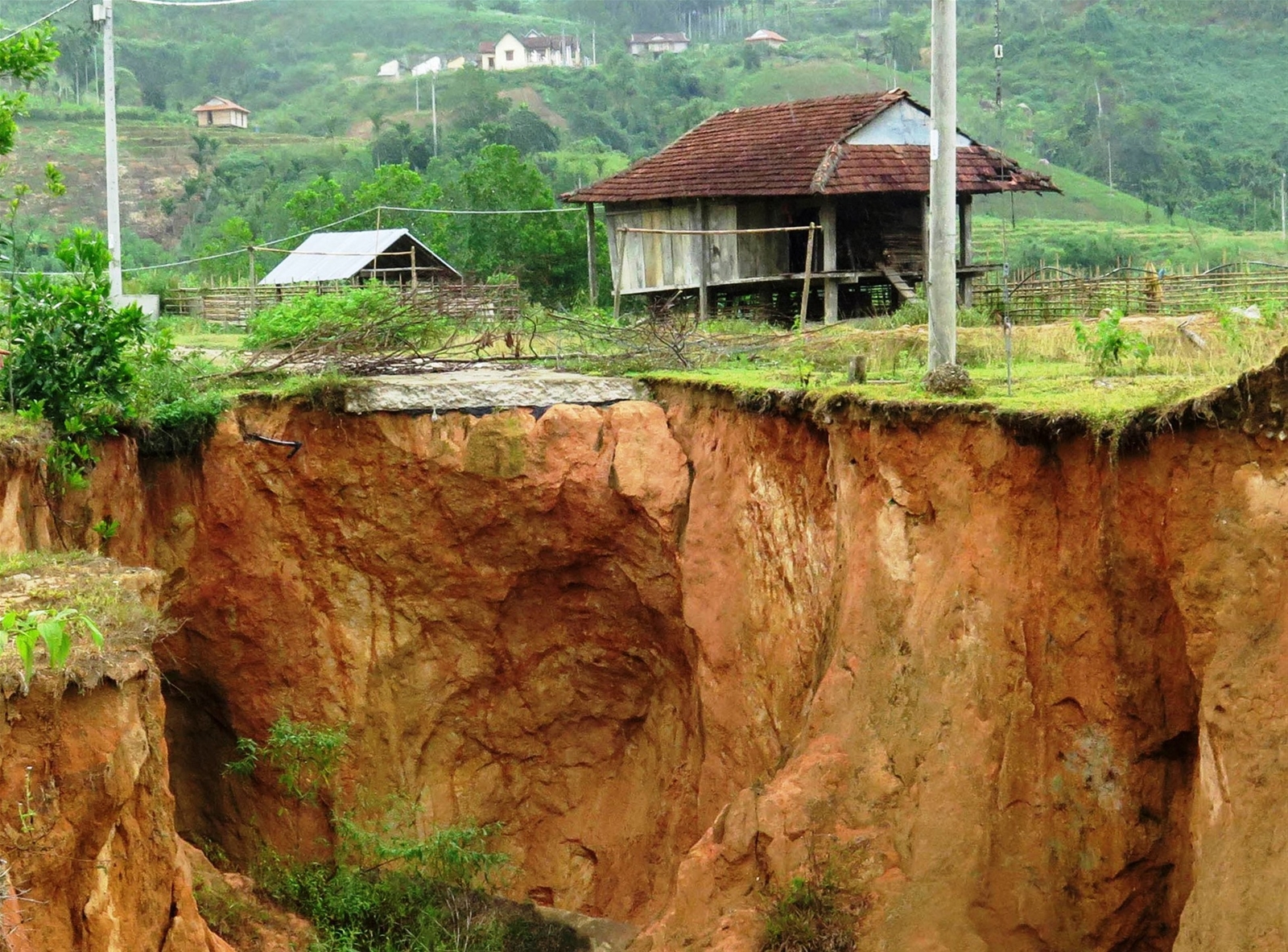 Quảng Ngãi khẩn trương triển khai chống bão Noru từ rừng xuống biển