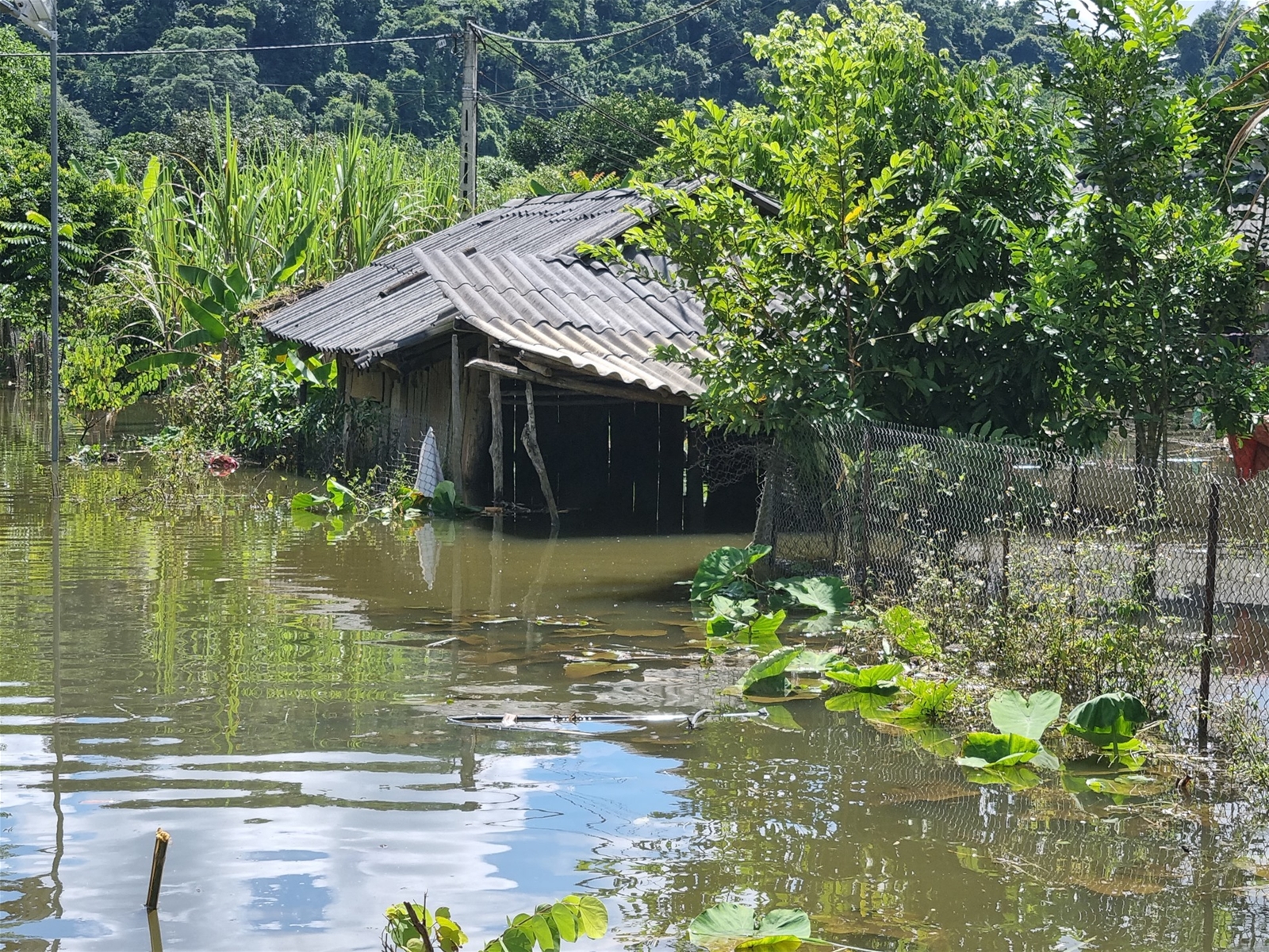 Hàng chục hộ dân bị ngập úng kéo dài giữa lòng TP.Sơn La