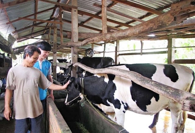 Mô hình. kinh tế tuần hoàn đáp ứng được các chỉ tiêu môi trường