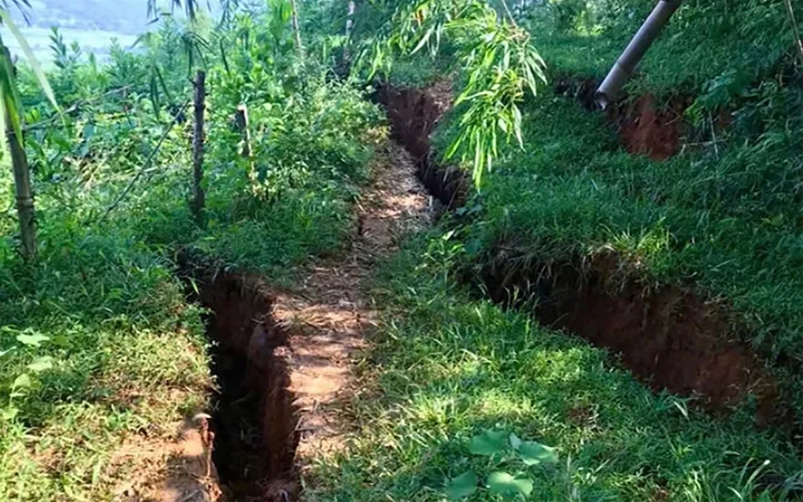 Hòa Bình: Đồi nứt toác hàng trăm mét, di dời khẩn cấp hàng trăm hộ dân