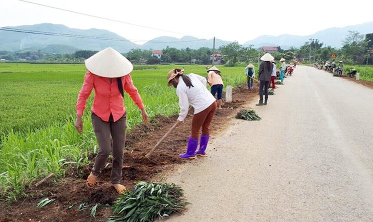 Hà Nam: Hướng dẫn về các tiêu chí về môi trường trong xây dựng nông thôn mới