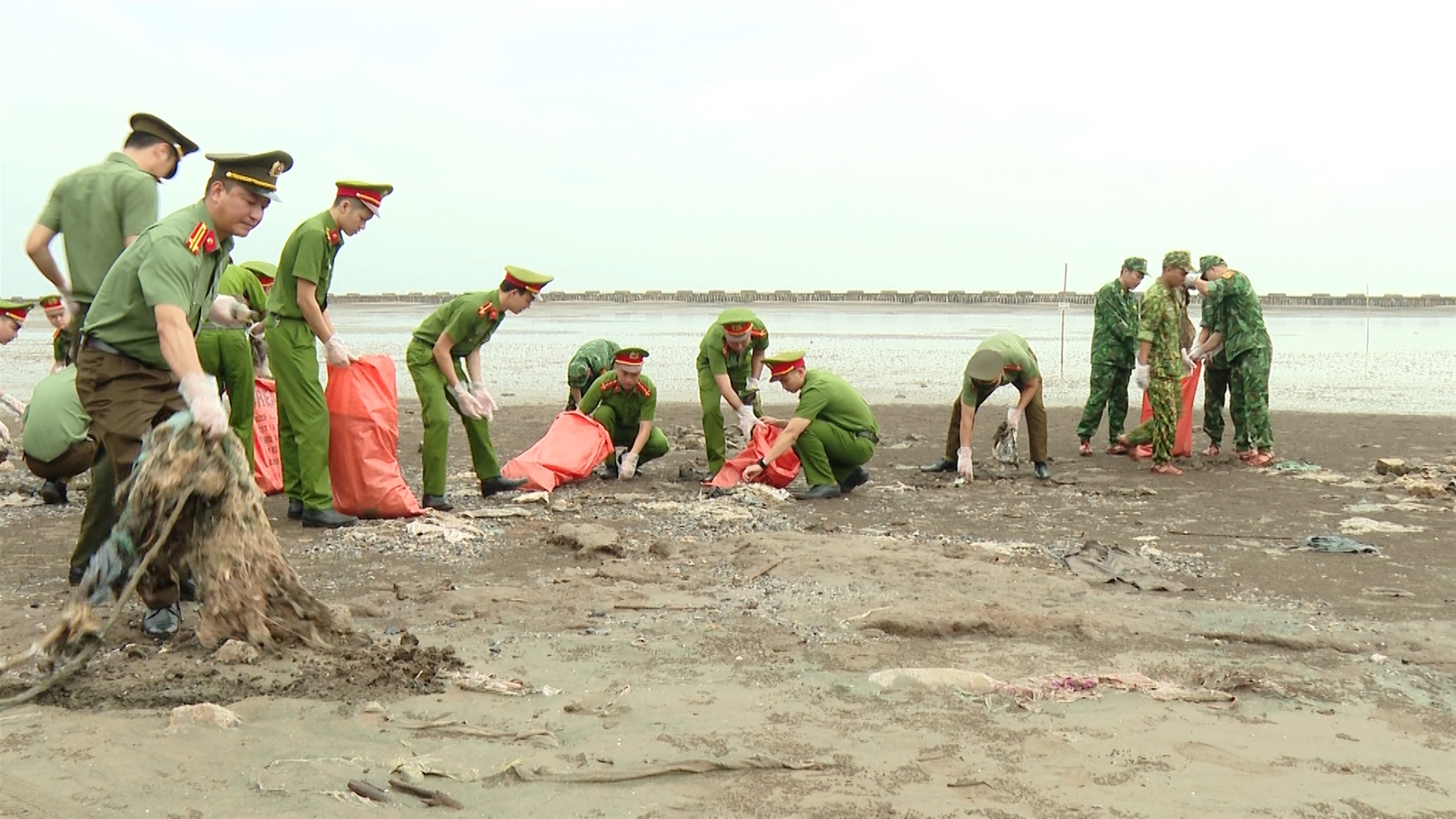 Ninh Bình: Ban hành kế hoạch tuyên truyền hưởng ứng các sự kiện về môi trường