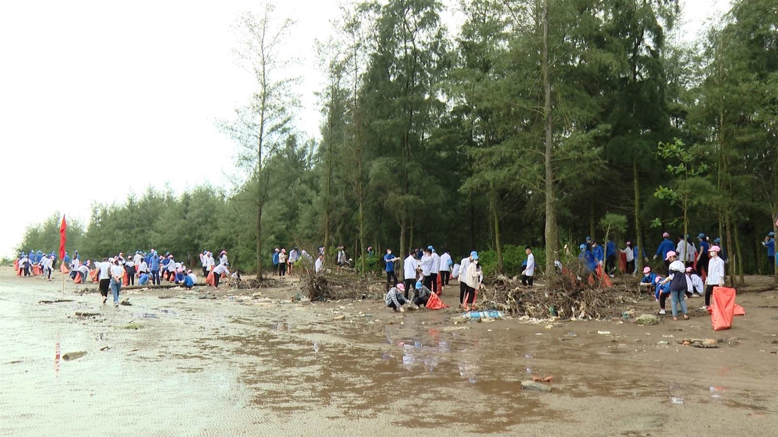 Ninh Bình: Ban hành kế hoạch tuyên truyền hưởng ứng các sự kiện về môi trường