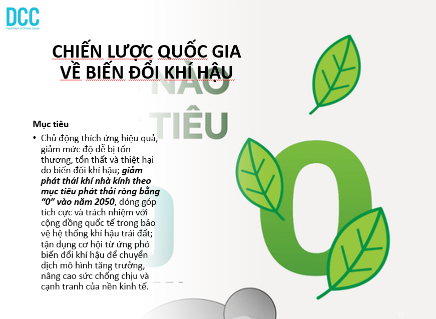 Các chủ trương và chính sách chuyển đổi năng lượng xanh hướng tới mục tiêu Net Zero