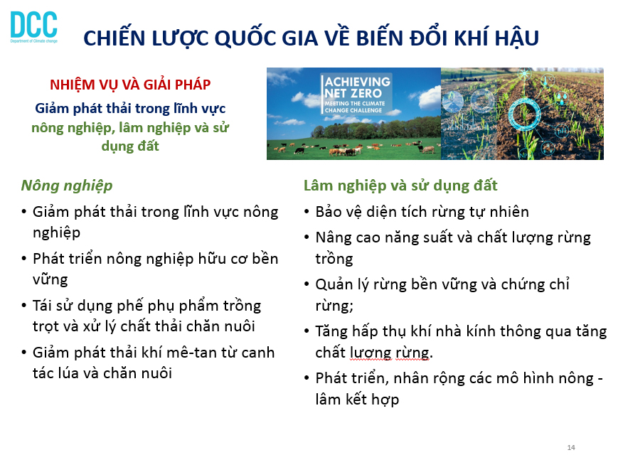 Các chủ trương và chính sách chuyển đổi năng lượng xanh hướng tới mục tiêu Net Zero