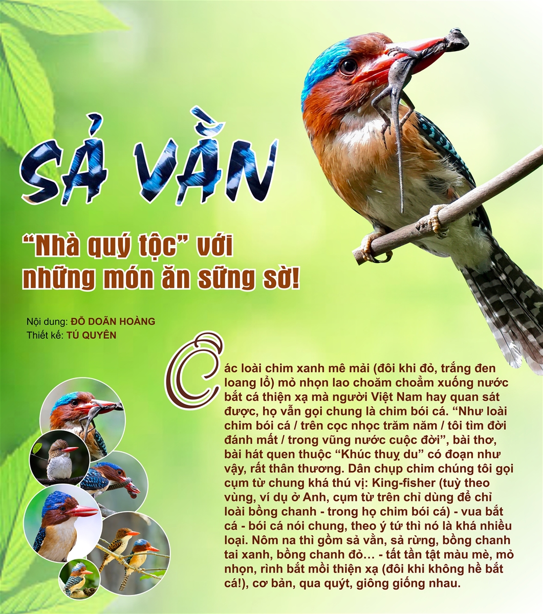 SẢ VẰN  “Nhà quý tộc” với những món ăn sững sờ!