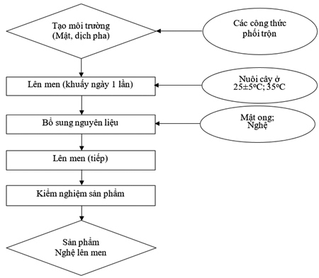 Khảo sát quá trình lên men nghệ mật ong ở một số môi trường khác nhau