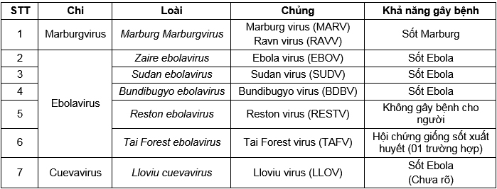 Nghiên cứu xác định các đặc tính Real-time RT-PCR phát hiện đồng thời hai virus Ebola và Marburg