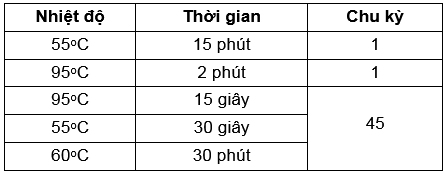 Nghiên cứu xác định các đặc tính Real-time RT-PCR phát hiện đồng thời hai virus Ebola và Marburg