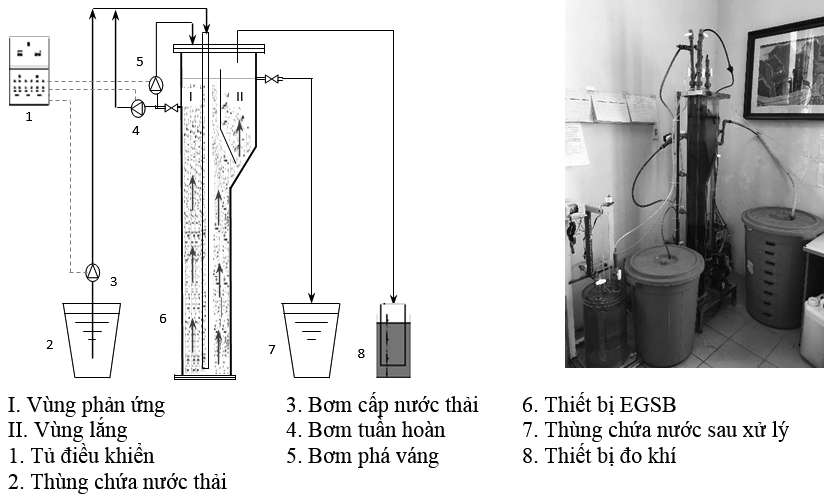 Nghiên cứu khả năng xử lý chất hữu cơ trong nước thải chế biến cao su tự nhiên bằng thiết bị EGSB