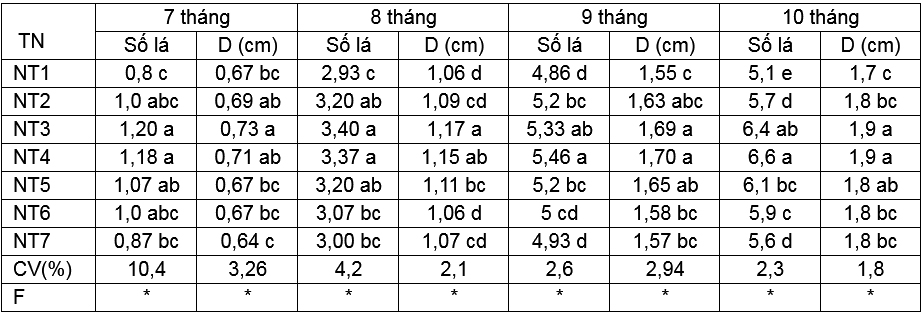 Đánh giá ảnh hưởng của phân Ca-Oligochitosan-Amin+TE lên sự sinh trưởng và phát triển của cây hoa lan dendrobium pink happy trồng ở Củ Chi, TP. Hồ Chí Minh