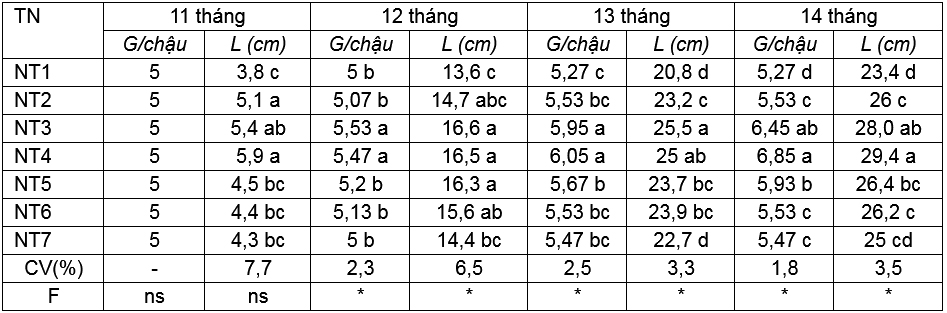 Đánh giá ảnh hưởng của phân Ca-Oligochitosan-Amin+TE lên sự sinh trưởng và phát triển của cây hoa lan dendrobium pink happy trồng ở Củ Chi, TP. Hồ Chí Minh