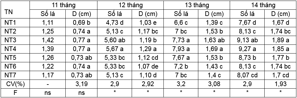 Đánh giá ảnh hưởng của phân Ca-Oligochitosan-Amin+TE lên sự sinh trưởng và phát triển của cây hoa lan dendrobium pink happy trồng ở Củ Chi, TP. Hồ Chí Minh