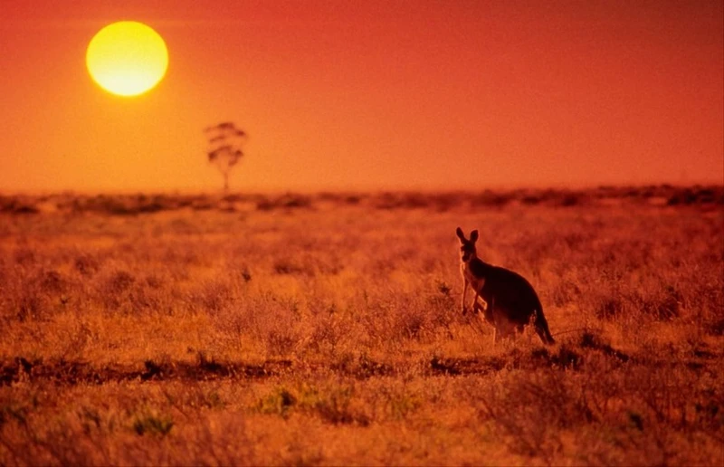 Australia vừa trải qua tháng mùa đông nóng nhất lịch sử