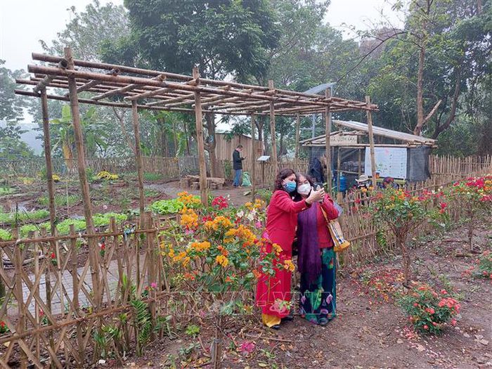 Hà Nội nghiên cứu phát triển bãi giữa, bãi bồi ven sông Hồng thành công viên văn hóa du lịch