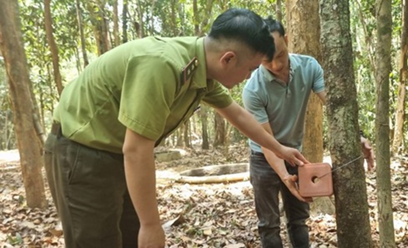 Xây bể chứa nước, bổ sung muối khoáng 'chống khát' cho thú rừng