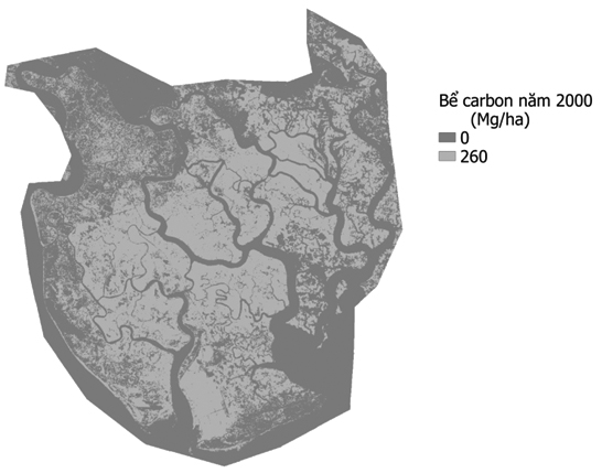 Ứng dụng công cụ InVEST để tính toán carbon xanh tại rừng ngập mặn Cần Giờ 