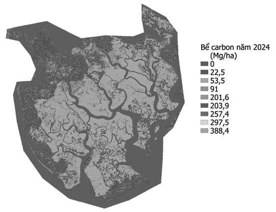 Ứng dụng công cụ InVEST để tính toán carbon xanh tại rừng ngập mặn Cần Giờ 