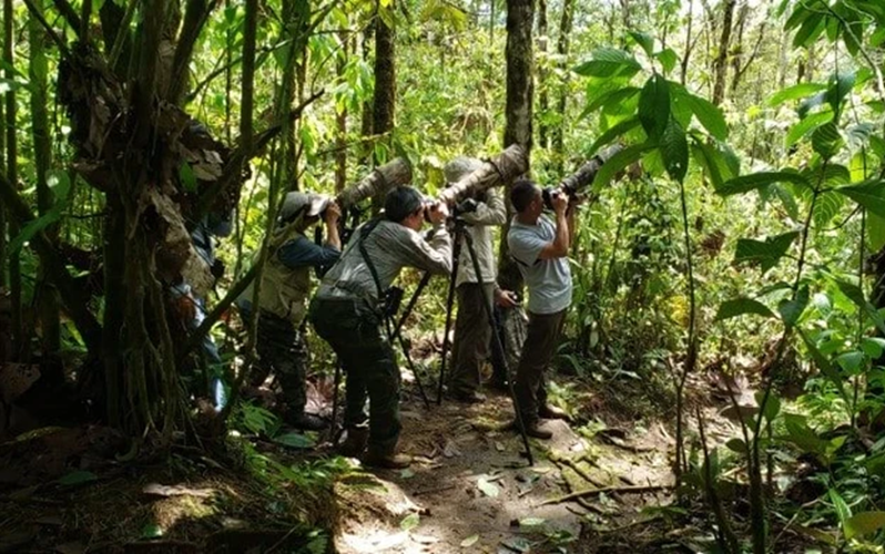 Ecuador - hồi sinh những thiên đường chim