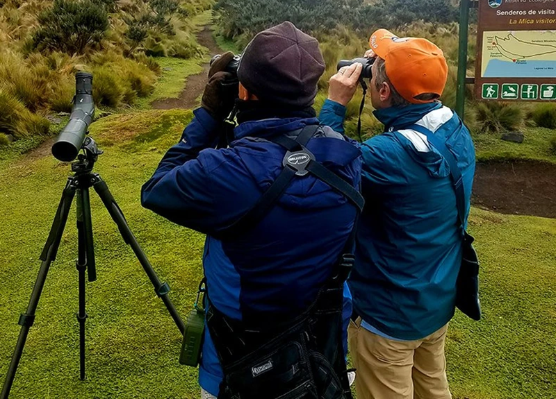 Ecuador - hồi sinh những thiên đường chim