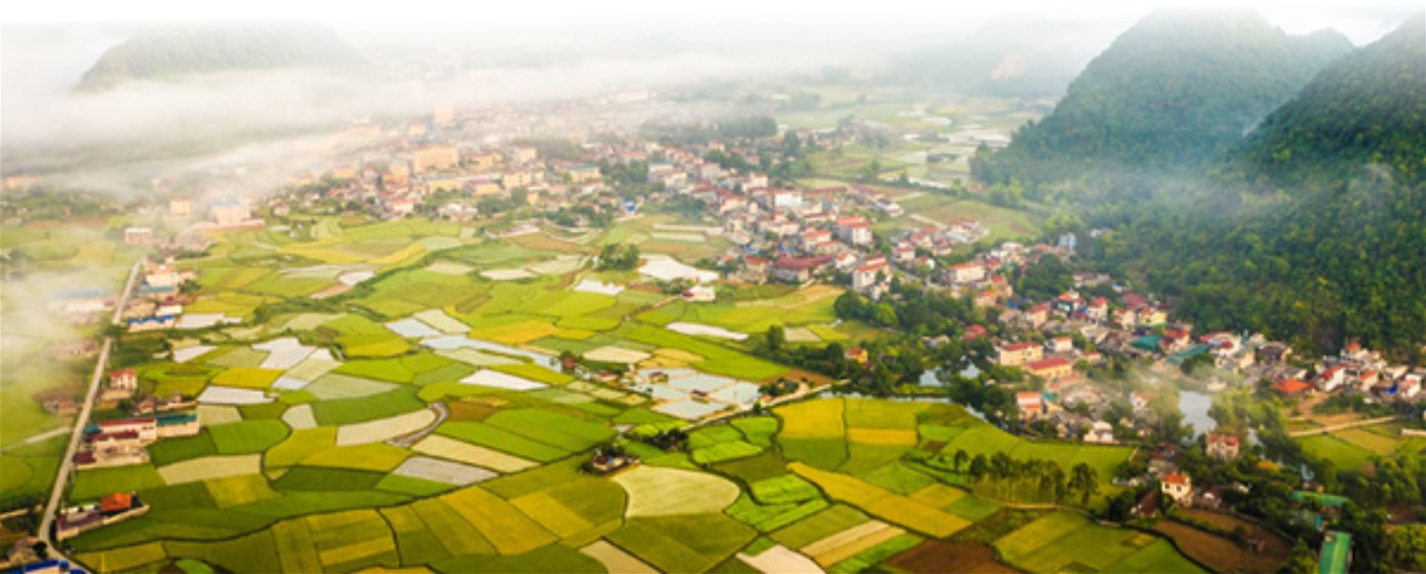 Tăng cường trách nhiệm, hiệu quả trong quản lý nhà nước về đất đai ở cấp xã