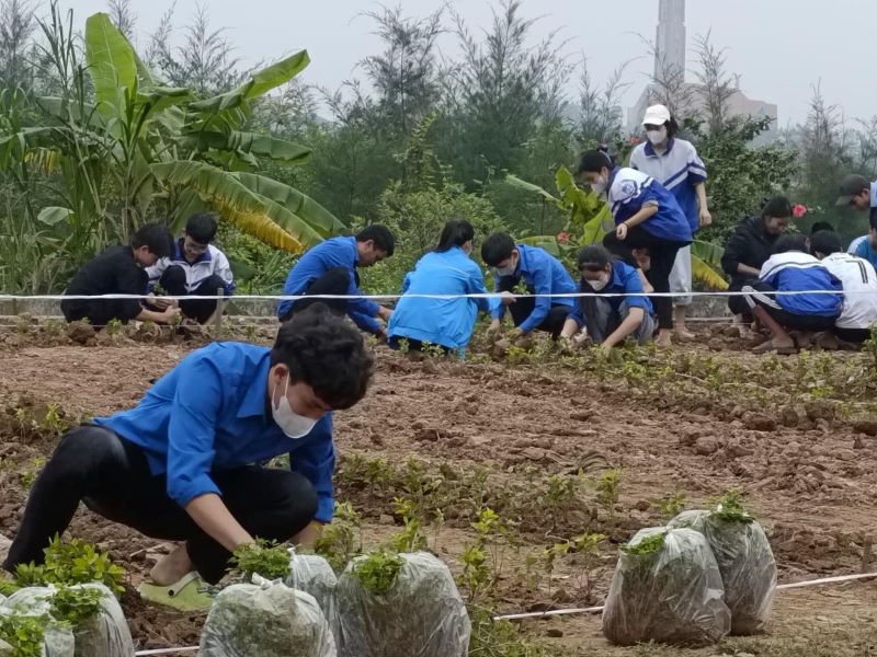 Thanh niên Hà Nam tích cực tham gia hưởng ứng Tháng hành động vì môi trường 2024