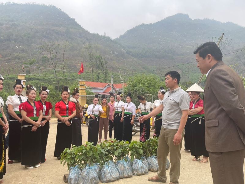 Thí điểm, thực hiện và áp dụng mô hình, giải pháp canh tác cây nông nghiệp bền vững thích ứng với khí hậu