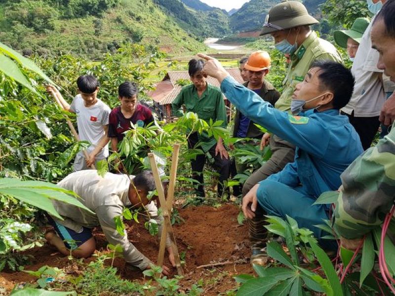 Thí điểm, thực hiện và áp dụng mô hình, giải pháp canh tác cây nông nghiệp bền vững thích ứng với khí hậu