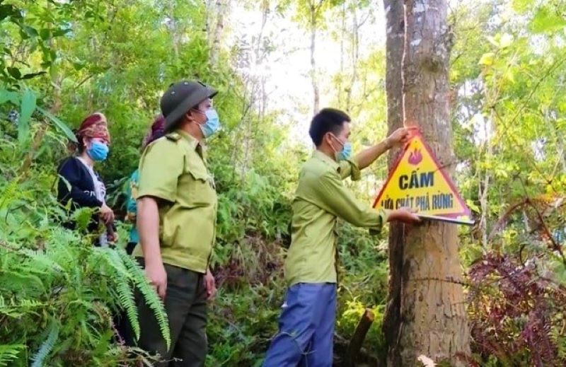 Mưa lũ Hà Giang và câu chuyện giữ, bảo vệ rừng phòng hộ đầu nguồn