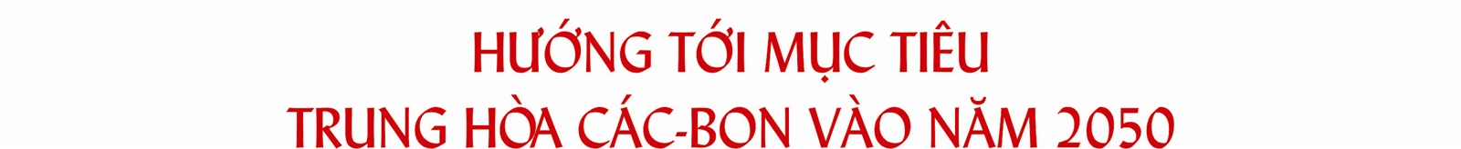 Việt Nam - Nhật Bản: Thúc đẩy hợp tác về bảo vệ môi trường, thích ứng với biến đổi khí hậu