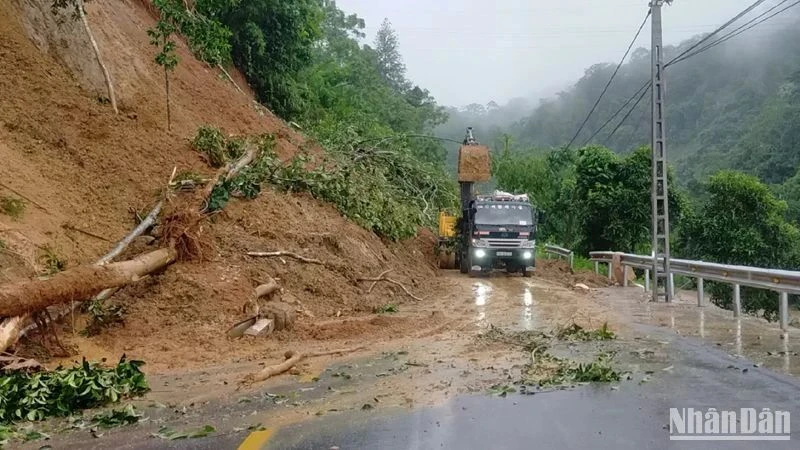 Giảm nguy cơ xói mòn và sạt lở đất từ thay đổi phương thức trồng rừng