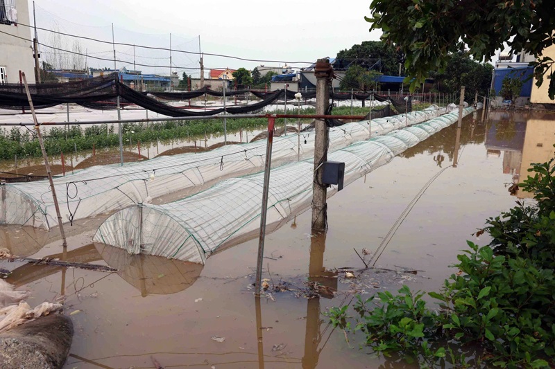 Phó Thủ tướng Trần Hồng Hà kiểm tra công tác khắc phục hậu quả sau bão số 3 tại tỉnh Nam Định