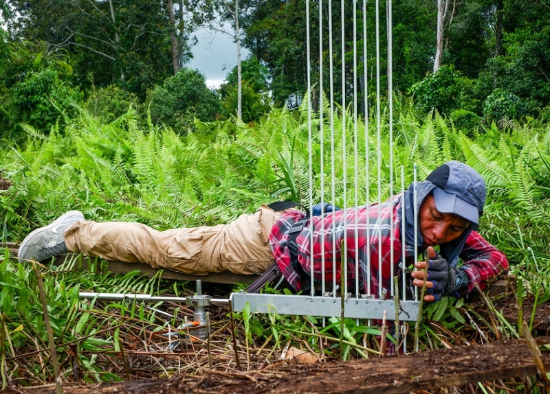 Cuộc đua 10 năm để cứu lấy Trái đất