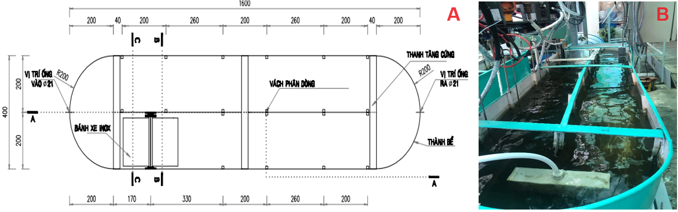 Bảo vệ môi trường trong nuôi trồng thủy sản - Ứng dụng kinh tế tuần hoàn và ao tảo mật độ cao HRAP trong nuôi tôm