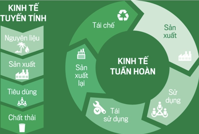 Chuyển đổi từ kinh tế tuyến tính sang kinh tế tuần hoàn - góc nhìn thực tiễn