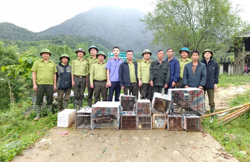 Vườn quốc gia Hoàng Liên (Lào Cai): Tái thả 28 cá thể động vật hoang dã về với tự nhiên