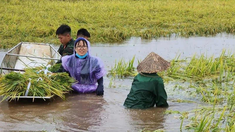 Thành lập các đội hình “Phụ nữ ứng phó với thiên tai”