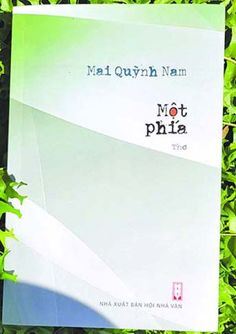 Một bông hoa lặng lẽ thiền trên cát bỏng