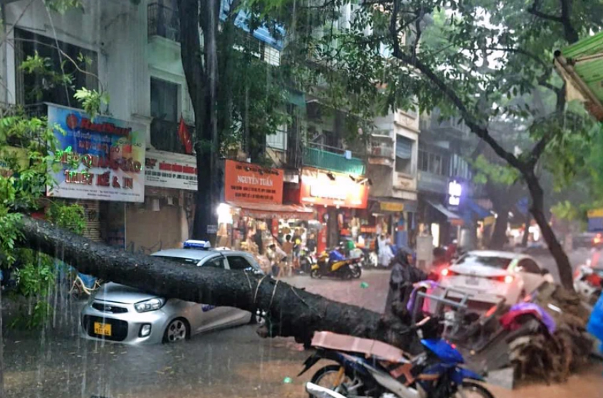 Hà Nội: Phố cổ ngập sâu, cây đổ đè taxi, ô tô 