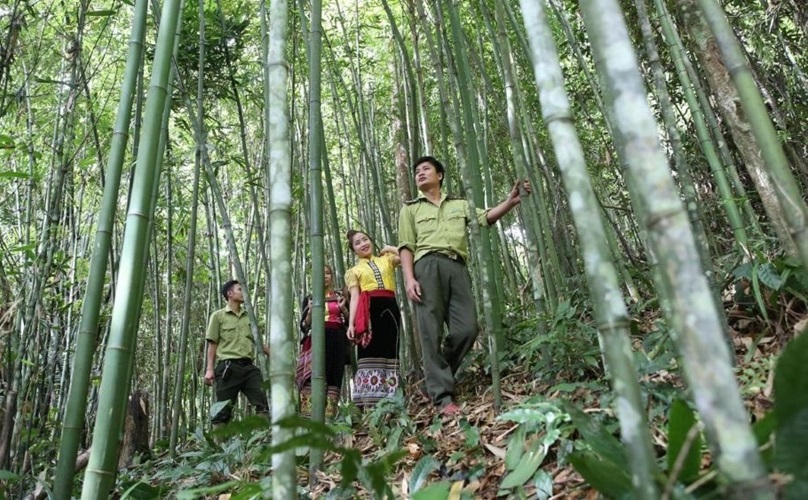 Nghệ An: Phê duyệt 79 cộng đồng dân cư tham gia hoạt động quản lý rừng hưởng lợi nguồn thu từ ERPA